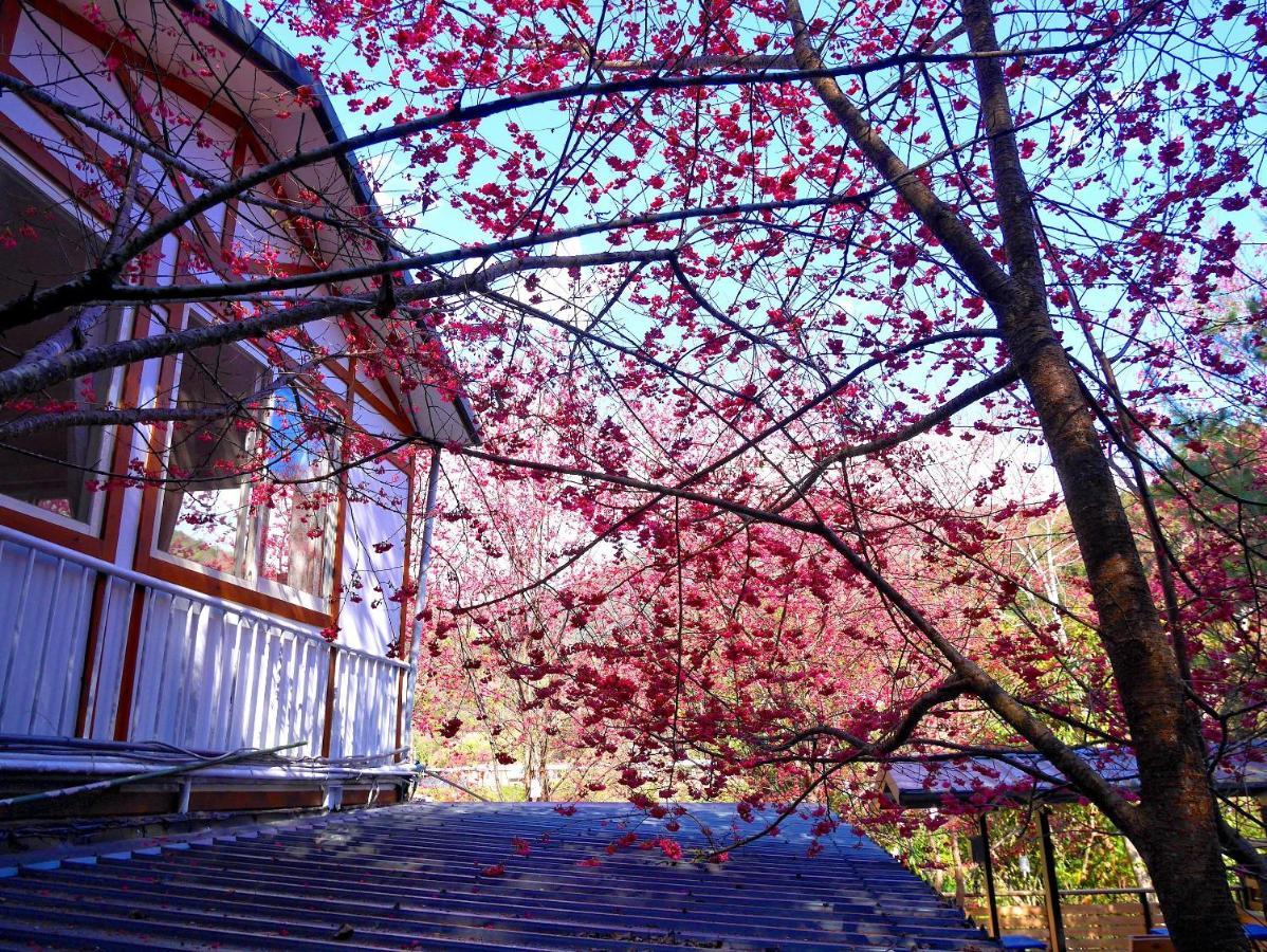 森之秘湯 Mhuwe Hotspring Apartamento Renai Habitación foto